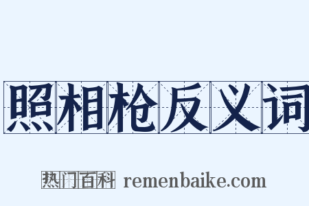 照相枪反义词是什么意思的图片